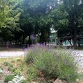 Manifestacija "KAMPUS – zona slobode" počinje u petak