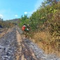 Veliki požar kod Prokuplja ugrožava kuće, vatrogasci i meštani u akciji Vetar otežava gašenje, jednoj osobi pozlilo (video)…