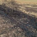 Užas, uništen vetrozaštitni pojas u dužini od skoro dva kilometra Neprocenjiva šteta na putu Kikinda - Banatska Topola