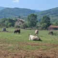 Pokrenuta platforma "Sela Srbije" za unapređenje seoskog turizma