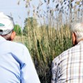 Zanimanja u Nemačkoj na kojima ljudi idu u prevremenu penziju
