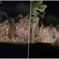 Sablasan prizor usred noći kod Zlatibora: Vozač išao kroz šumu, ono što mu je izletelo iz mraka ostavilo ga u čudu! Scena nije…