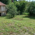Na dva minuta od Dunava: Stara kuća i 4 ara placa kod Golupca prodaju se za 10.000 evra