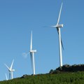 Između Alibunara i Kovačice niče nova vetroelektrana od 900 MW