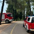 Drama u Danilovgradu! Palio nisko rastinje, pa sve izmaklo kontroli: Izgorelo sve u krugu od 9 kilometara
