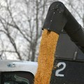 Južna Koreja povećala uvoz pšenice i kukuruza iz Rusije