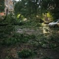 Nevreme pogodilo Novi Sad; Drvo palo na devojčicu, povređen i stariji muškarac; Komunalne službe već na terenu (VIDEO)