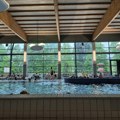 Terme Krka u Sloveniji: Ovo su aktuelne ponude, cene smeštaja i "tajne" čuvene banjske oaze koja osvaja posetioce