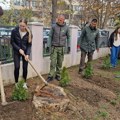 Srbijašume deset godina u akciji pošumljavanja Leskovca i okoline