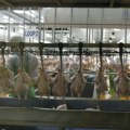UN: Globalna potrošnja piletine šest puta veća nego 1961. godine