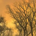 Пожар на Корчули и даље активан, стижу појачања: Очекује се ангажовање канадера