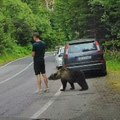 Medved prišao turisti sa leđa, a onda je nastao haos: Snimak iz komšiluka sve zapanjio