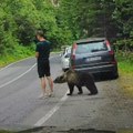 Medved prišao turisti sa leđa, a onda je nastao haos: Snimak iz komšiluka sve zapanjio