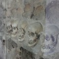Analiza pokazala kako su izgledali učesnici Bitke na Čegru
