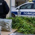 Policija u Čačku pronašla više od pet kilograma kanabisa: uhapšena dvojica osumnjičenih
