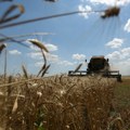 "Rusija svesno stavlja milione ljudi širom sveta u opasnost od gladovanja": Ambasada Ukrajine u Srbiji o sporazumu o žitu