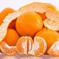 Uništena pošiljka mandarina iz Hrvatske za Srbiju
