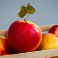 Ruske službe će izvršiti inspekciju brojnih preduzeća u Srbiji zbog pesticida u jabukama