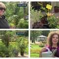 Izložba cveća i sadnica u parku Manjež: Šta vas to od mirisnih noviteta očekuje u centru Beograda
