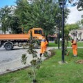 Uređenje blokovskog zelenila i javnih površina