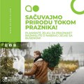 „Zelenilo“ prodaje jelke sa busenom po ceni od 2.200 do 3.900 dinara