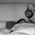 Ovom čoveku nije bilo jasno zašto ga je pas probudio usred noći: A onda je pogledao snimak!
