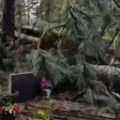 Olujni vetar porušio stabla na groblju! Nevreme oskrnavilo spomenike na Mirogoju, gradonačelnik poslao hitno upozorenje…