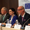 Međunarodni posmatrači: Rekordna izlaznost i nejednaki uslovi u kampanji