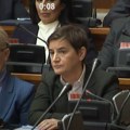 Brnabićeva odgovorila tepićki: Jedna istina i jedan ustav je za Mariniku i elitu, a drugi je za sve nas obične građane