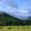 Jezive posledice suše u 2 fotografije: Ovako je naša planina izgledala u junu, a vidite sad: Tuga (foto)