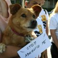 Kreni - Promeni traži zabranu rada firme Avenija MB
