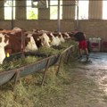 Integrisana ratarska i stočarska proizvodnja za bolji prihod gazdinstava