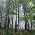 Vetrovito, oblačno i svežije – temperatura do 24 stepena