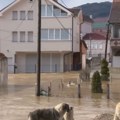 Životinje "plivaju" u dvorištu, voda ušla u kuće: Velike poplave izazvale haos u Kičevu i još nekim gradovima (video)