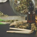Mladić (20) iz okoline Novog Bečeja uhapšen zbog droge: U dvorištu pronađena marihuana i ekstazi Uhapšen S. Ć. (2006) iz…