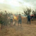 Požar u ataru Velike Plane kod Prokuplja zahvatio oko 15 hektara, vatrogasci na terenu