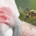 Opasna infekcija se proširila, skoro svi zaraženi u teškom stanju! Oglasio se "Batut": Bolest dominira kod muškaraca, najviše…