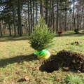 Kragujevac: Posađeno 9 stabala u Parku novogodišnjih jelki