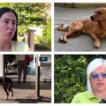 Kako prekinuti začarani krug patnji napuštenih pasa sa ulice u Nišu?