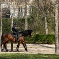 Četa konjanika Policijske brigade dobila novog neodoljivog člana FOTO