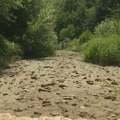 Suša kakvu Gadžin Han ne pamti: Od Kutinske reke nema ni kapi