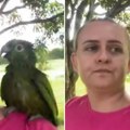 Papagaj odgrizao kabl, pa se žestoko posvađao sa vlasnicom: Hit snimak postao viralan, popraviće vam dan