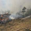 Lokalizovan požar u selima na području opštine Kladovo