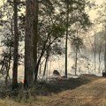 Deliblatska peščara gori – tužilaštvo preti: Kako je izgledalo izveštavanje pod pretnjom kazni
