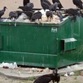 Majka bacila novorođenče u kontejner jer je "preskupo za održavanje" i izbegla smrtnu kaznu: Jezivi detalji!