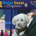 NAJAVA: 11. Noćni bazar ovog petka ponovo u Zrenjaninu! Zrenjanin - Noćni bazar