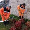 Uređenje blokovskog zelenila u Romanijskoj