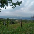 Humanitarna šetnja za Narodnu kuhinju Eparhije bačke danas na Fruškoj gori