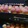 Jabuke u Evropi pune otrova: Zabranjene za bebe, stručnjaci upozoravaju na "koktel efekat"