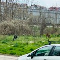Bežeći od čopora pasa, dečaka iz Niša u Zetskoj udario automobil
